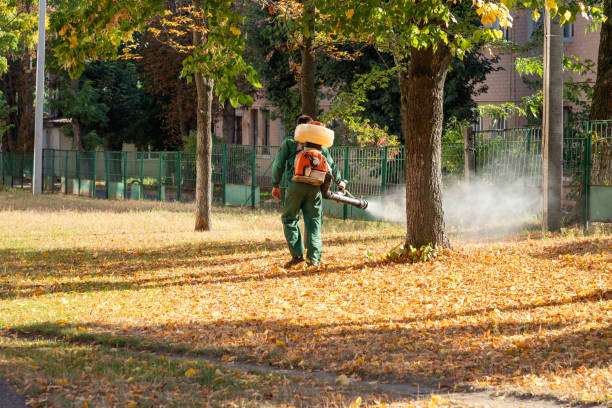 Best Flea Control Services  in Green Oaks, IL