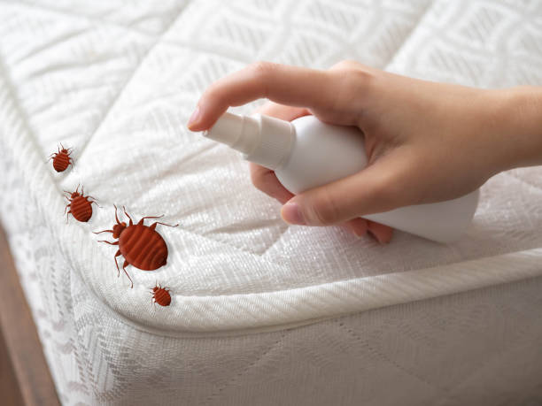 Professional Pest Control in Green Oaks, IL