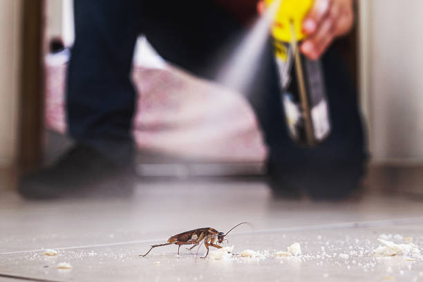 Best Termite Control Services  in Green Oaks, IL