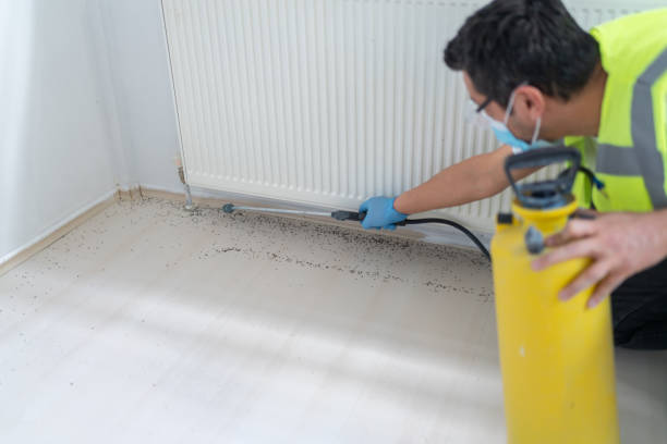 Wasp Removal Services in Green Oaks, IL
