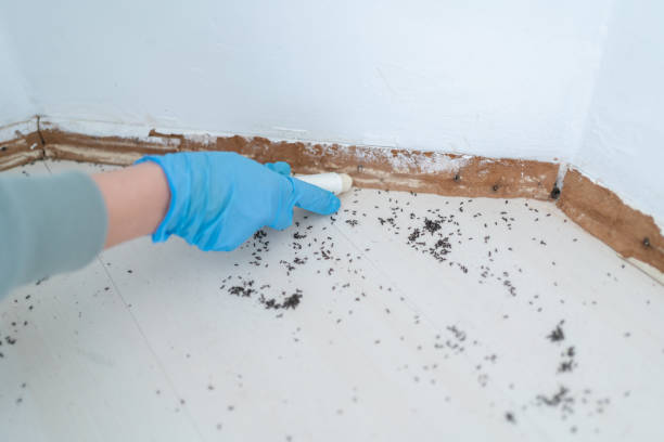 Best Pest Removal Services  in Green Oaks, IL