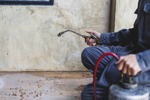 Best Best Pest Control Companies  in Green Oaks, IL
